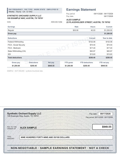 Ruled stub with security check layout in slate, with a decorative check area, shown with sample data and a SAMPLE watermark